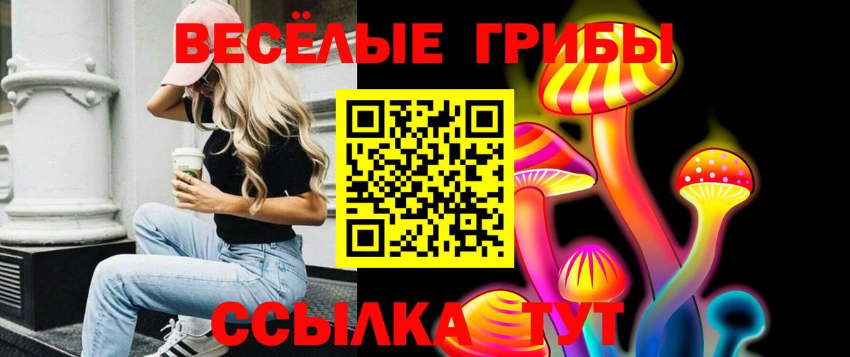 Псилоцибиновые грибы Cubensis  Вход с VPN  Барабинск 
